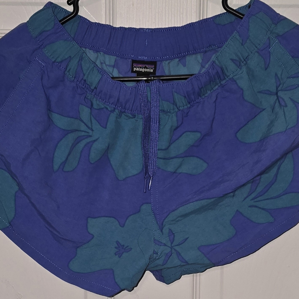 Green and blue Patagonia shorts size small